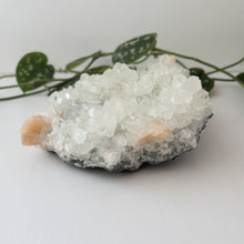 Load image into Gallery viewer, Large Apophyllite &amp; Stilbite Specimen
