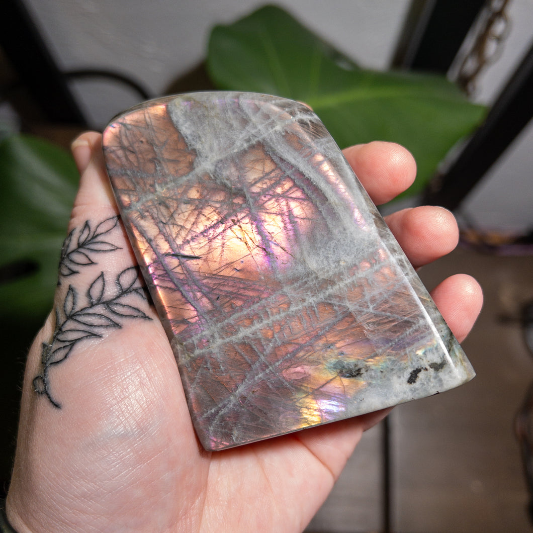 Pink & Orange Labradorite Freeform C