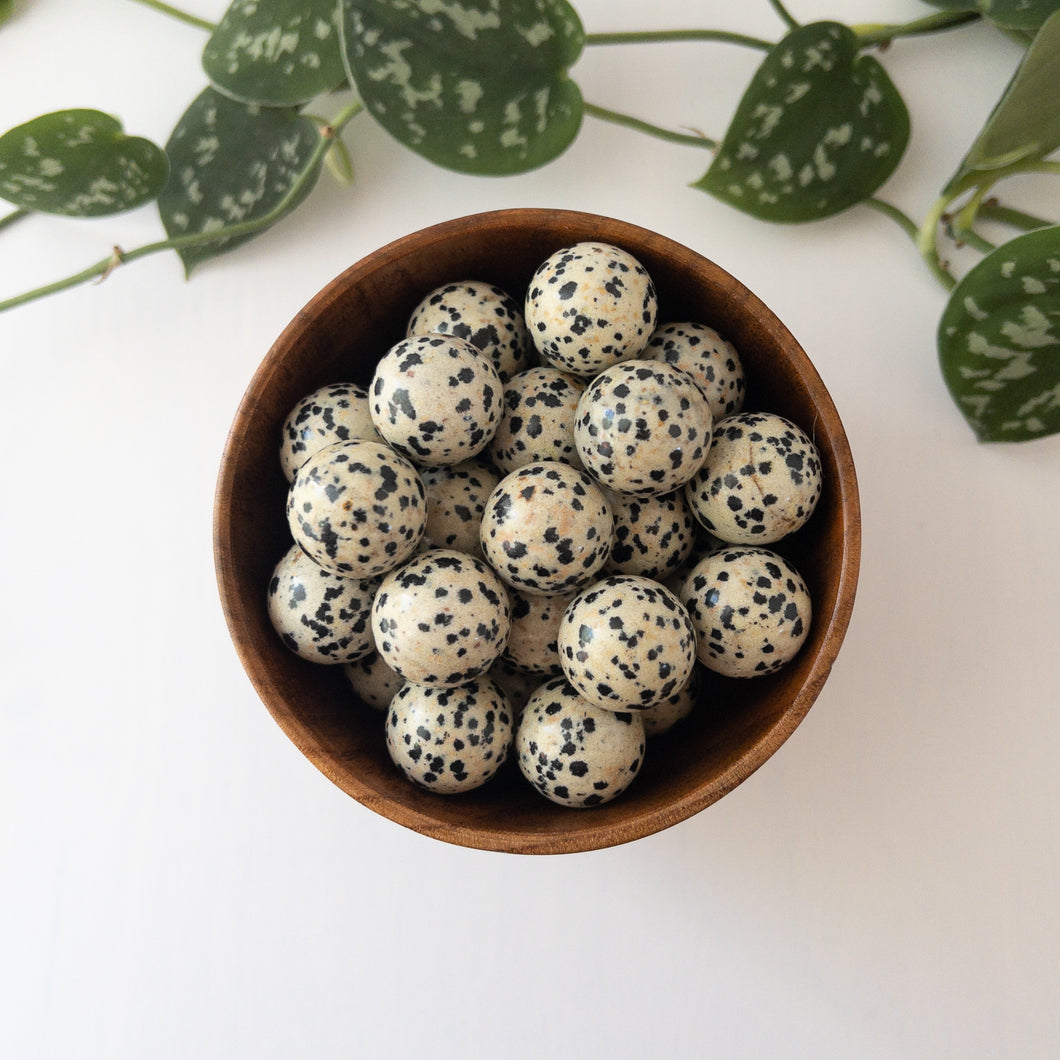 Dalmatian Jasper Mini Sphere