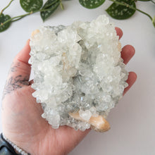 Load image into Gallery viewer, Large Apophyllite &amp; Stilbite Specimen
