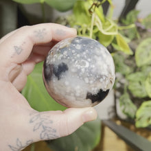 Load and play video in Gallery viewer, Dyed Black Flower Agate Sphere (2.54 in.)
