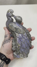 Load and play video in Gallery viewer, Purple Labradorite Phoenix Breathing Fire
