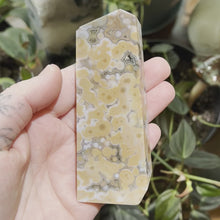 Load and play video in Gallery viewer, Ocean Jasper Slab D
