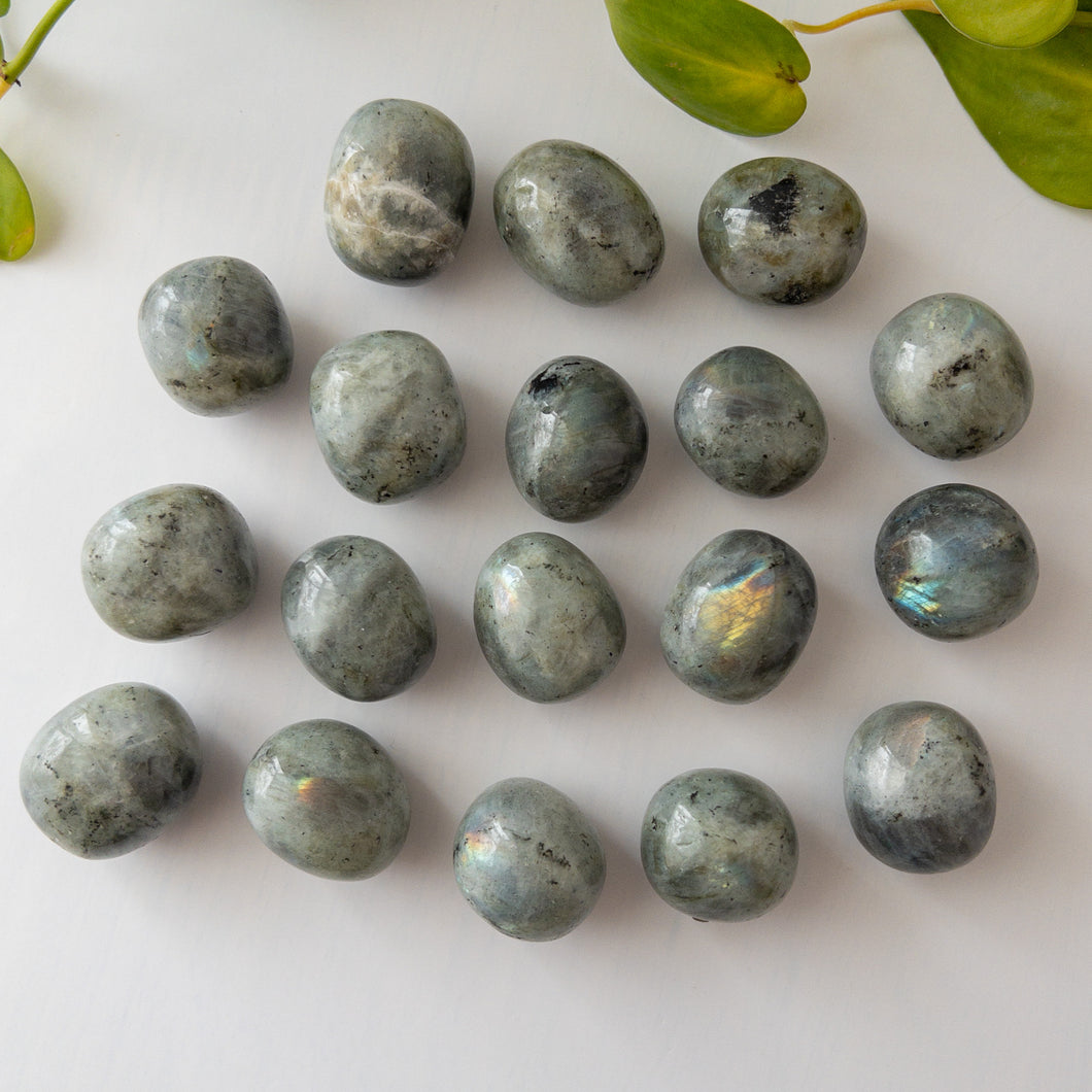 Labradorite Tumbles