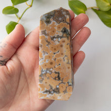 Charger l&#39;image dans la galerie, Ocean Jasper Slab D
