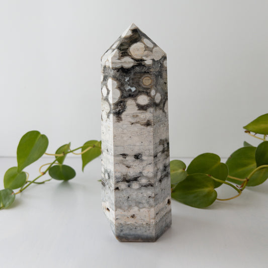 XL Ocean Jasper Tower