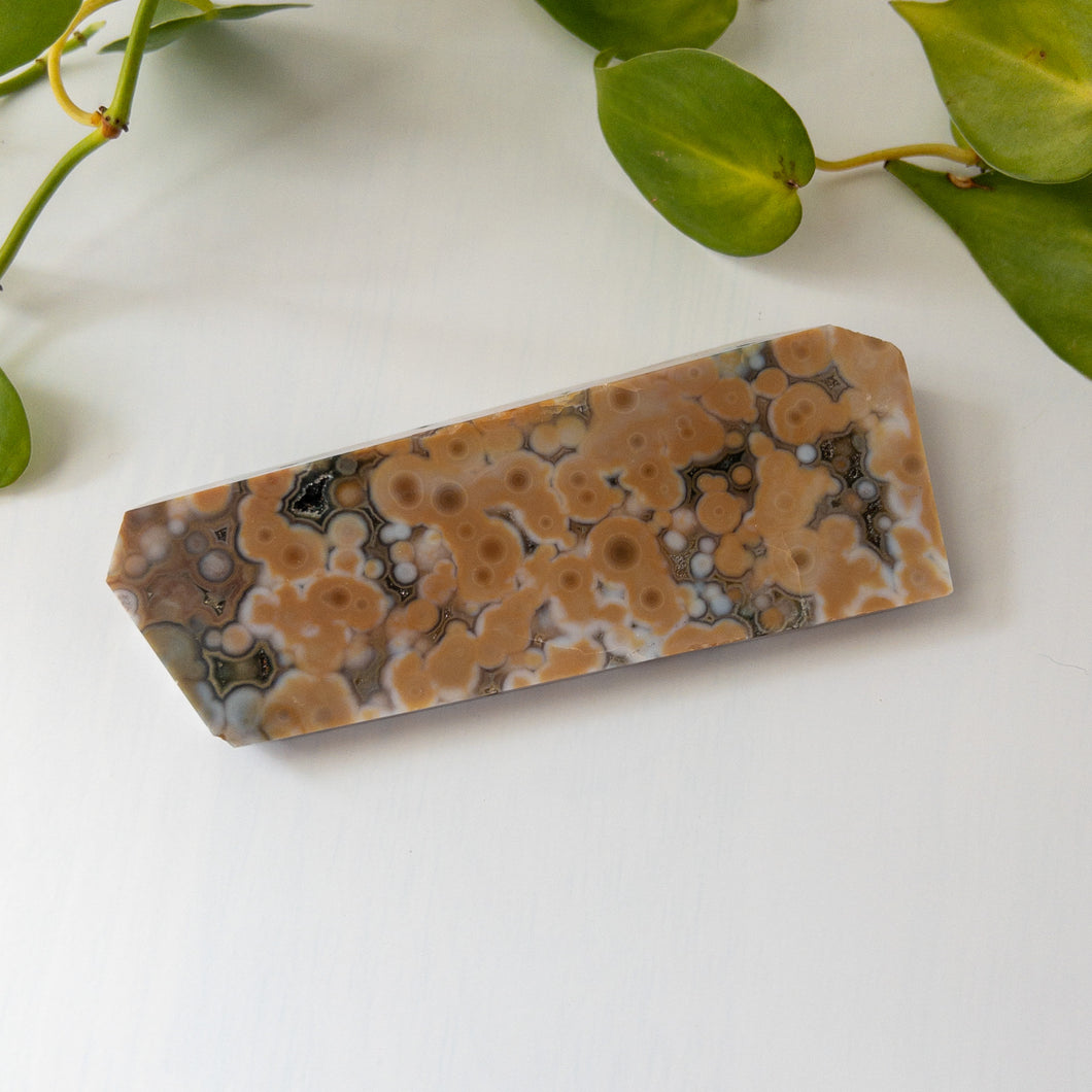 Ocean Jasper Slab D